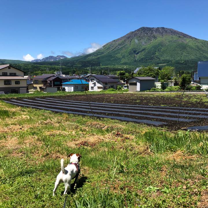 46e9ba76 4019 41a4 866c 1eba03a56b72 1526781541825