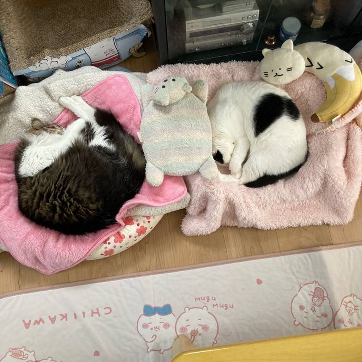 46e9c2e3 c61e 42fb 82be 41077097f647 1760484760901