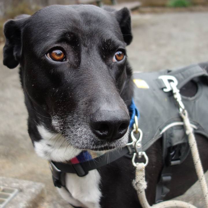 46e9e686 2b85 4e9e 8322 0db24502a284 1648516583284