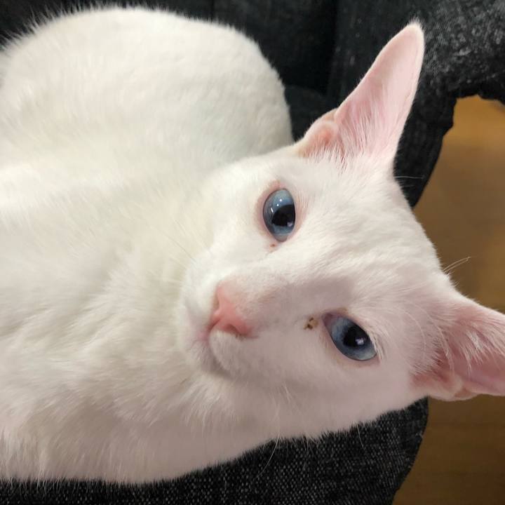 46e9f24f e57f 4c49 8feb 41c9d5c580e1 1547728562589