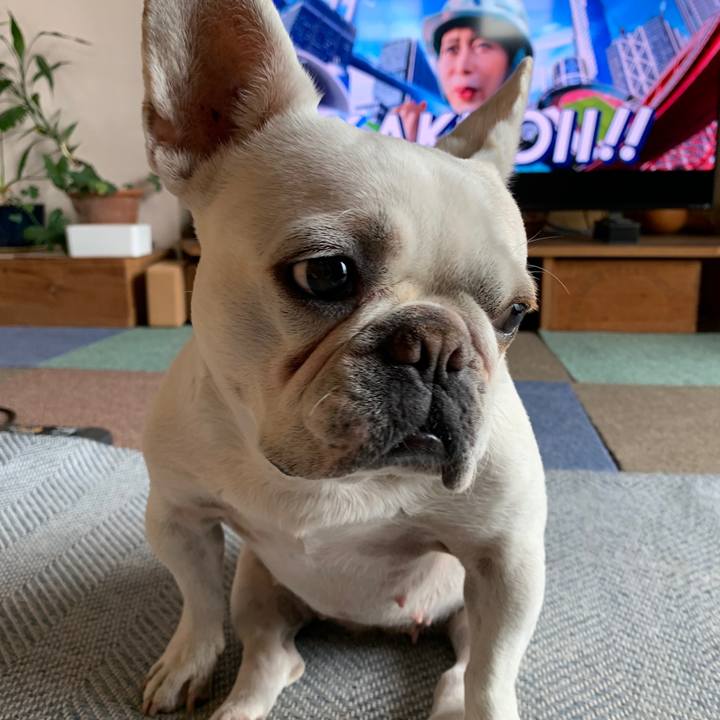 46ea35dc 383c 4b57 ad1a d669c821c0bc 1717367500845