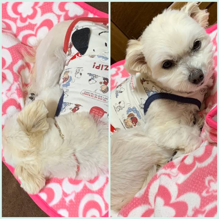 46eac2b6 7bc6 4cd3 898c ada6a13a776c 1644400382116