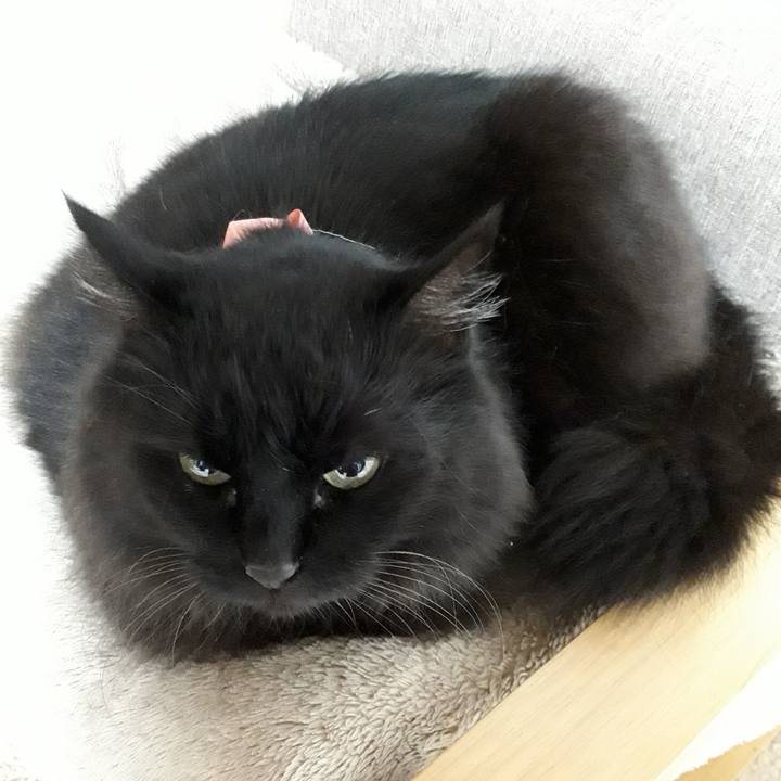 46eb2897 ddb5 4af3 998f ce80137652f1 1520534868623