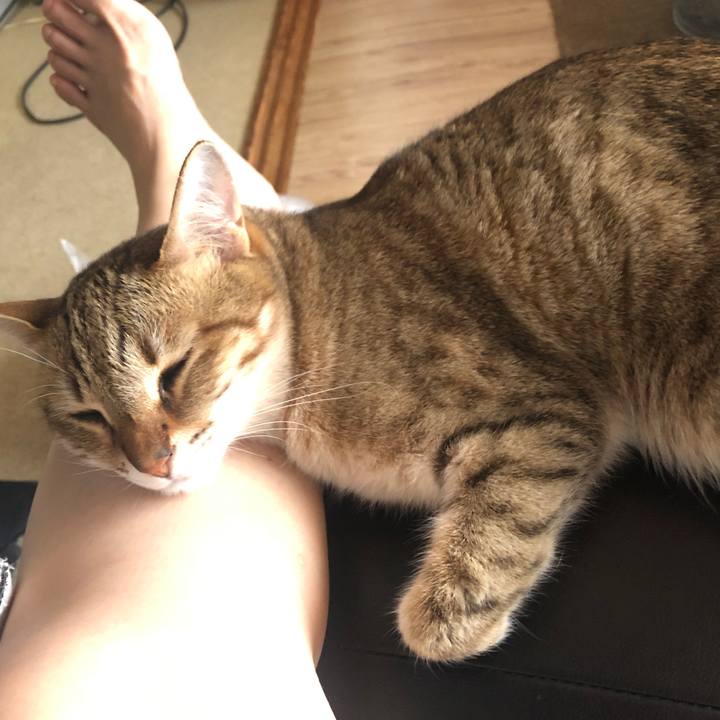 46eb453c 1c6a 4b4d b758 a68e5e17c084 1654235156132