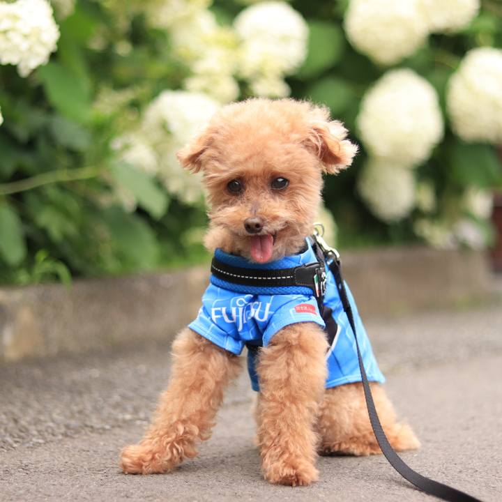 46eb5c67 d537 4fa4 b658 e1f94ade996f 1655608769230