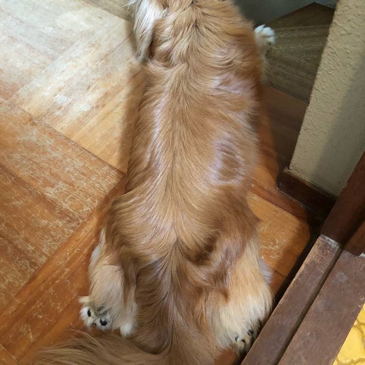 46eb66cb c002 4d8f b419 a74793aa2209 1527302161434