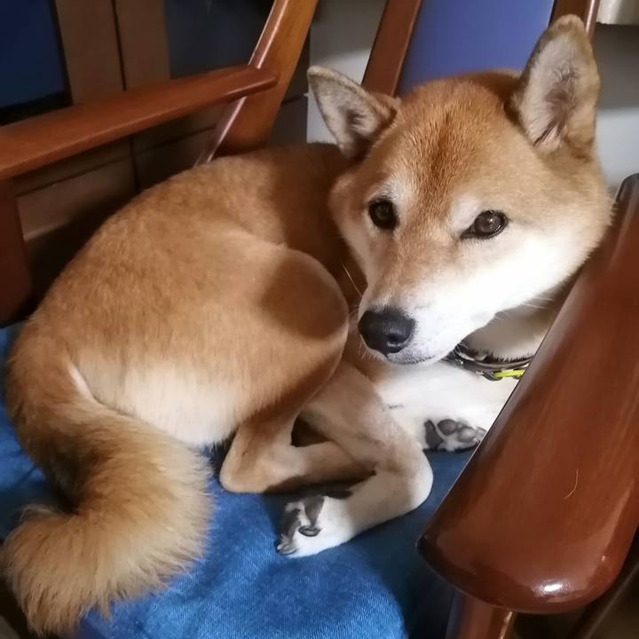 46eb8cf7 6f9b 449d 9fa5 c0678d66f6a8 1667314055937