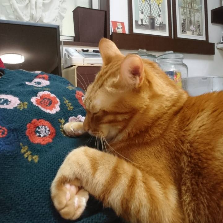 46ebbb5d 8e86 440d 99c5 2ad34f2fec40 1520895069805