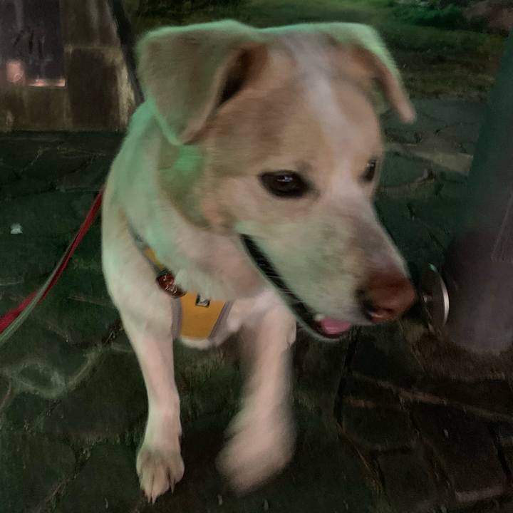 46ebbb76 9ef3 4303 b0a4 81228fd5d3df 1582642292783