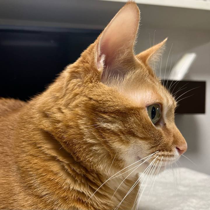 46ec239d b5d3 43ee ac1e b64808195bb1 1640823314322