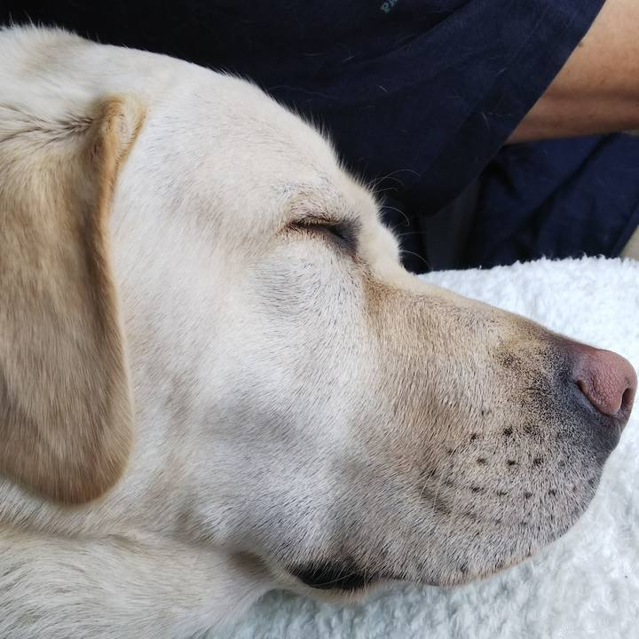 46ec2d8f 2b95 4873 8784 99a8c665c610 1525681278462