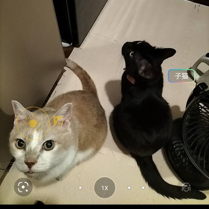 46ec3ca9 570c 4941 83ae f92e0fd2b09c 1631445270092