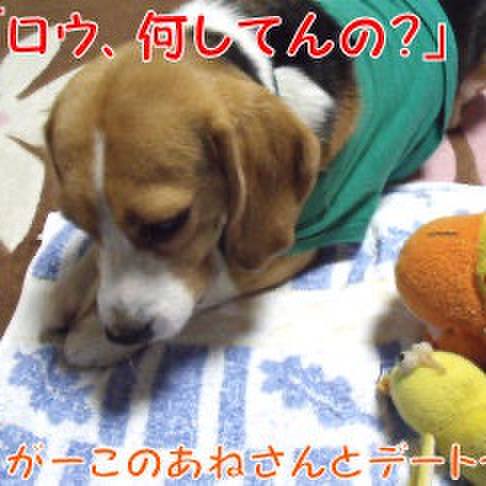 46ec58d0 b7d2 43d8 a97e a594bd7e30bc 1716594352635