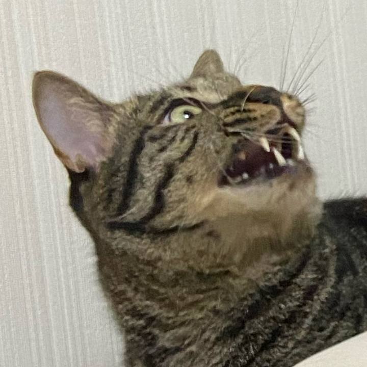 46ec92a2 ad77 48fc 862d 61d8ba879b08 1668513993890