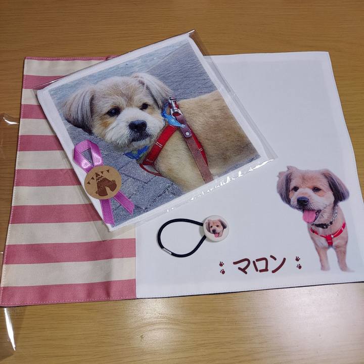 46eccc2c e234 4cec 8474 24903e833042 1628946847808