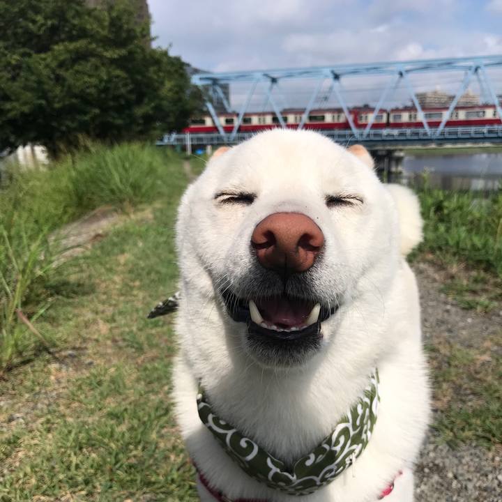 46ecd1ba 1c8b 43f3 9e7a 202dfd5592ac 1534118530455