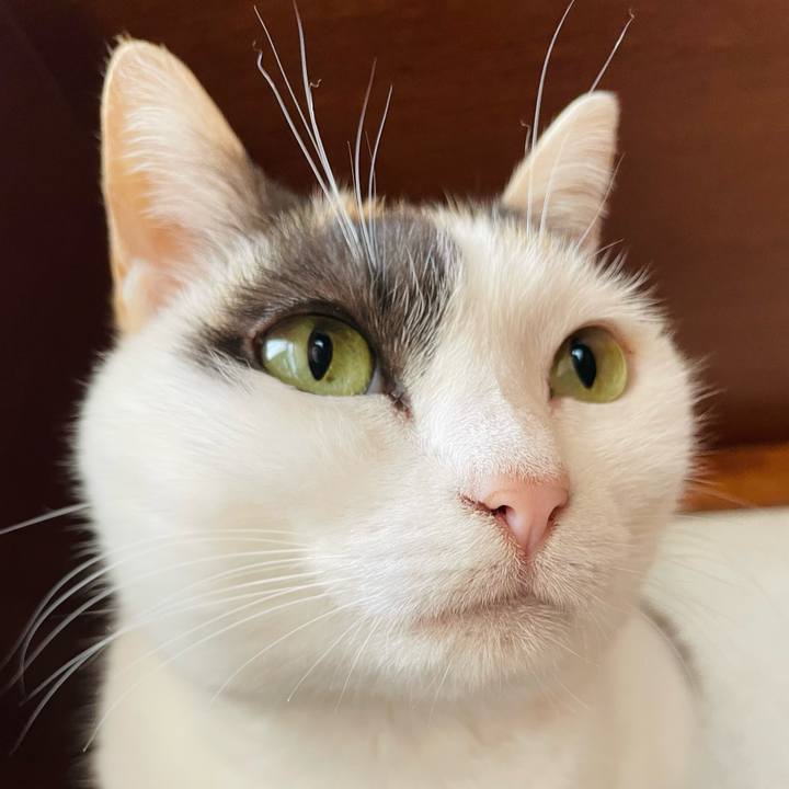 46ecd931 16c3 4329 b7ed e8b28c7409c1 1653358882096