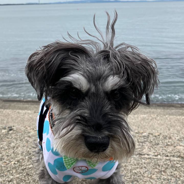 46ecf821 d9bc 4df4 a07e a3ad91fa3a3f 1746970555086