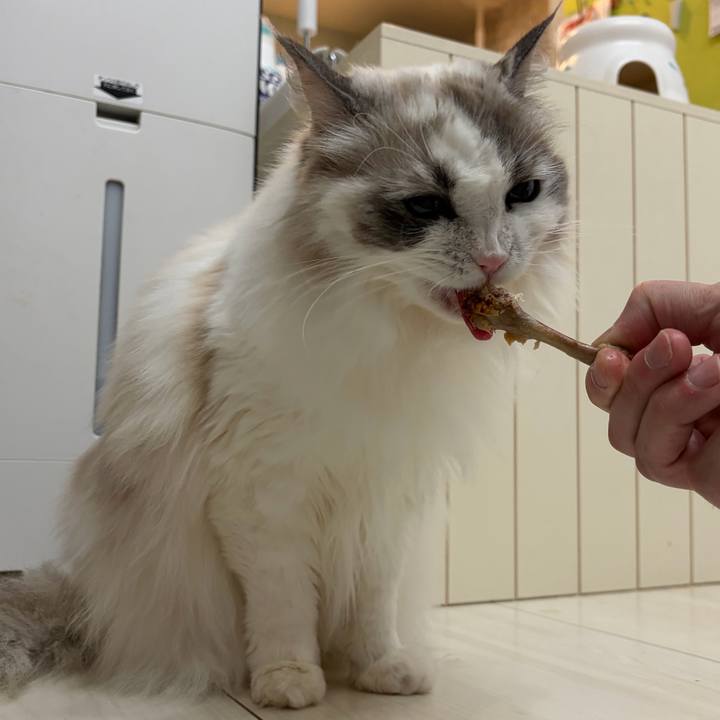 46ed060b bf11 4b61 a2e5 bb027473214d 1769780085848