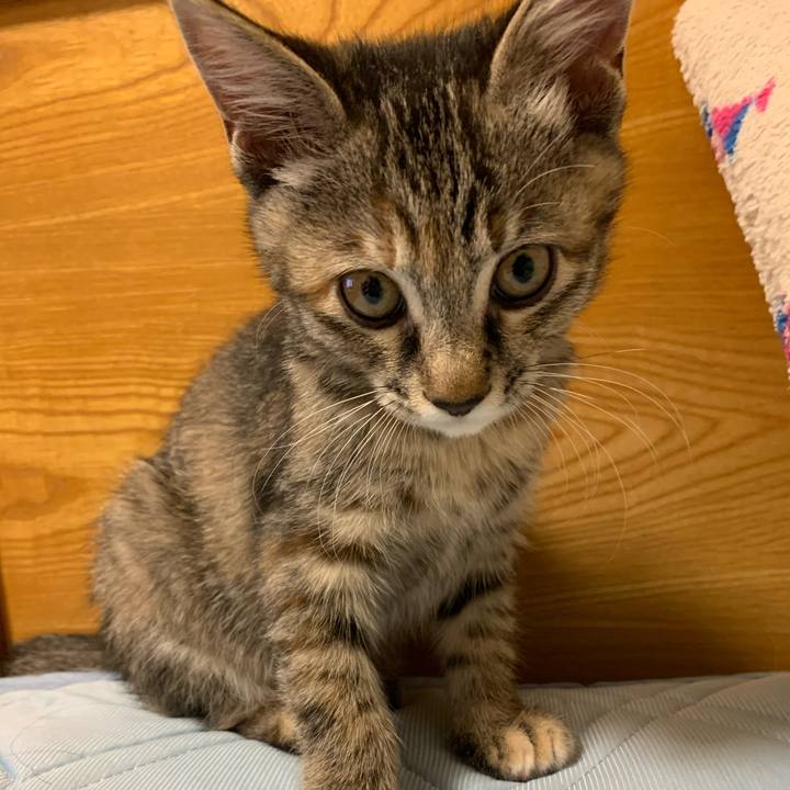 46ed0b13 f102 4105 999a aa63c68e906b 1592228608923