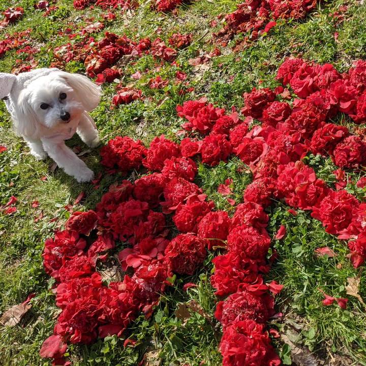 46ed37b5 e43c 45c5 acea 81f170f4829e 1615690137240