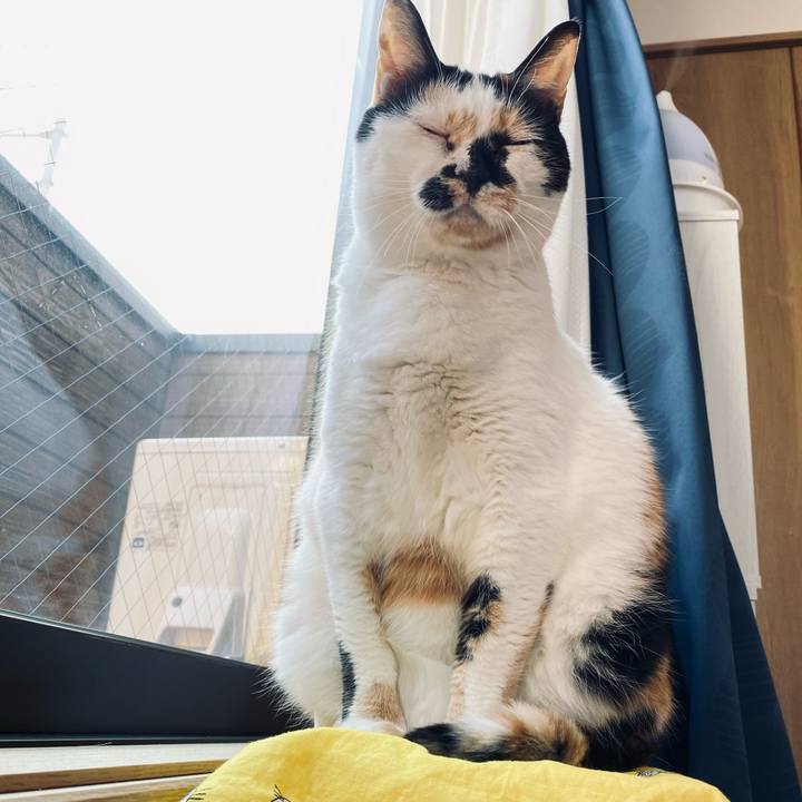 46ed3bec f6a6 493f 9a32 aed33301406f 1613972624831