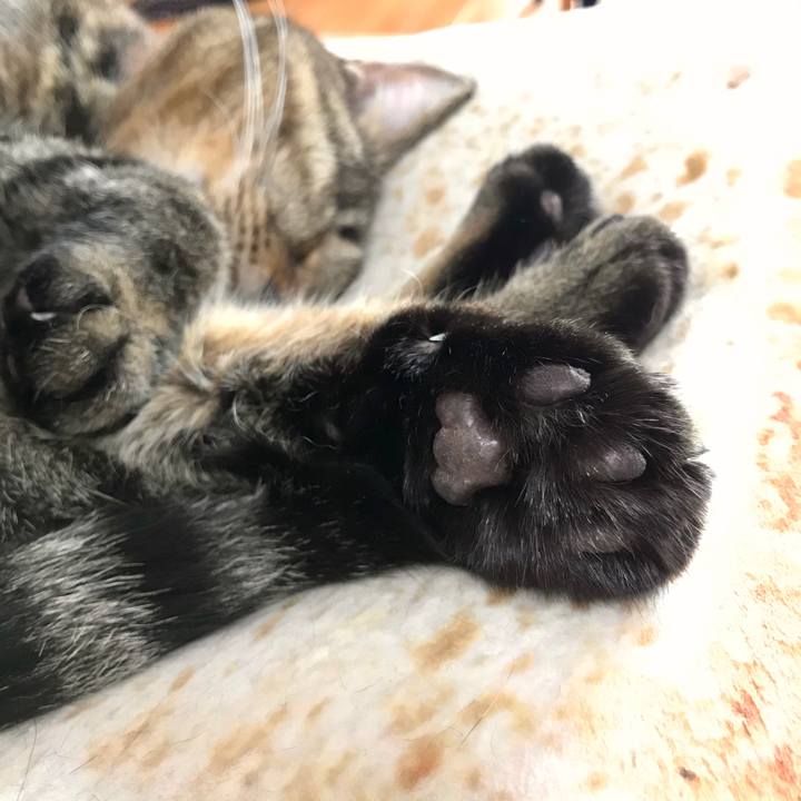 46edbbed df79 4a67 8aa3 bbfe4a41955a 1579575141922