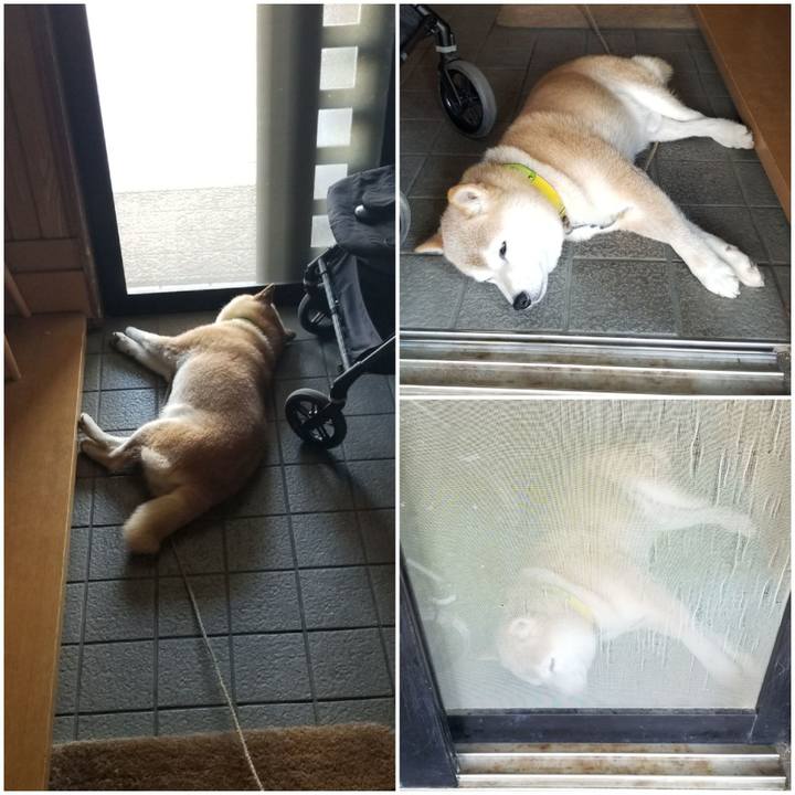 46edfba7 33e3 4cae b26b 0540f62c2c3d 1690073619482