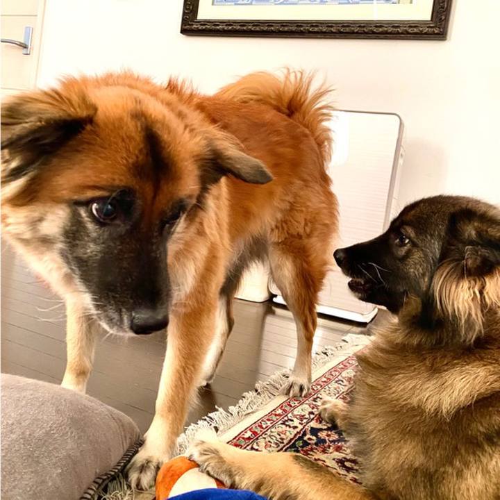 46ee00c8 ddaa 4b62 aea2 1c2fbb2a0757 1765848393499