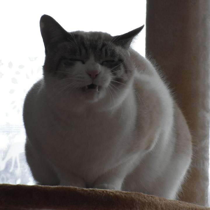 46ee1089 4e5e 4431 9abc ab4198b95543 1517879110062