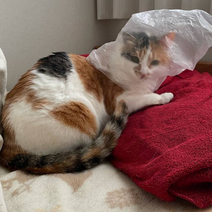 46ee271c 6b4b 4fd5 a1b5 d3470a8c2d7c 1620878458043