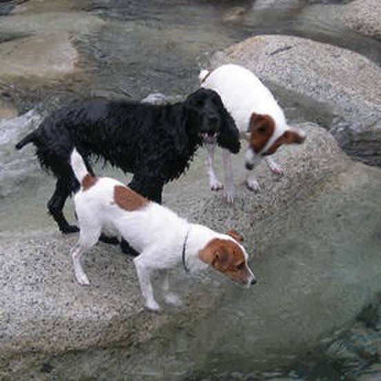 46ee2cc0 e1d5 44f5 a028 800ddfe18b57 1532670886234