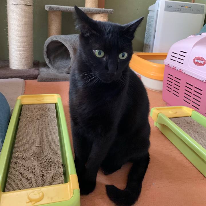 46ee2d29 cca6 45f7 a2f6 40c3ed9fd8ab 1541295364243