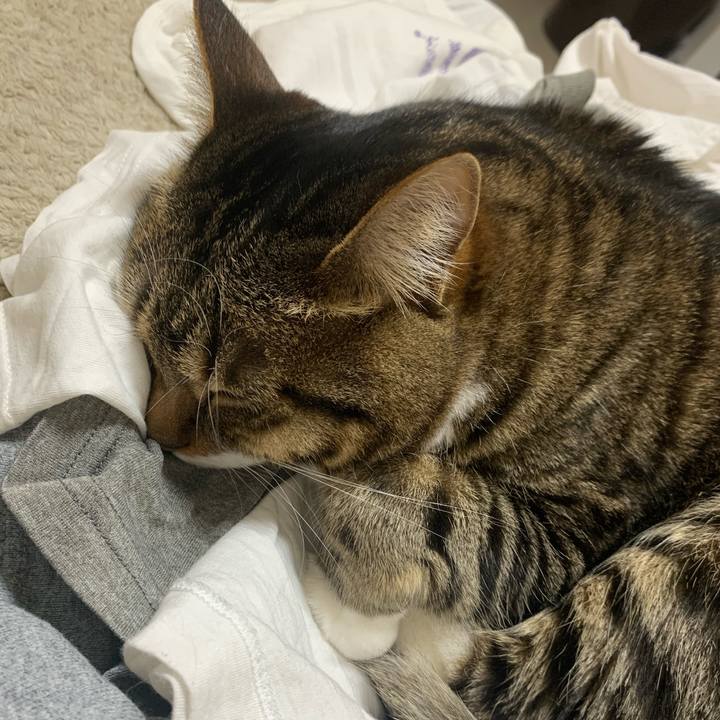 46ee37b0 ce06 479c 8ca8 ca65438d9279 1652278047071