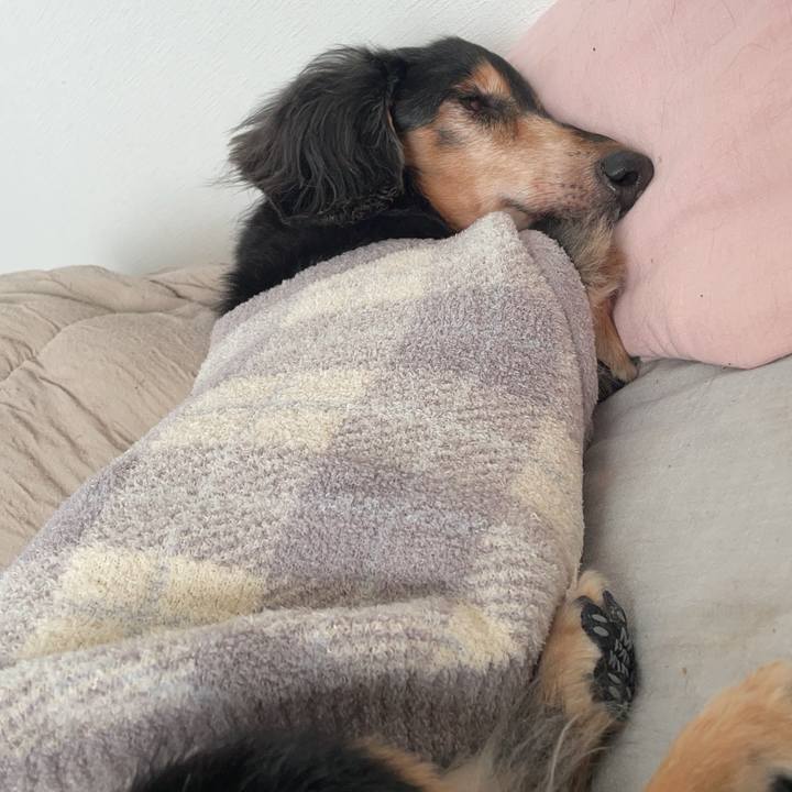 46ee46d3 1b30 4e4e bf95 dd2c2cf7123a 1734152926441