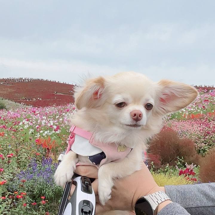 46ee618d 94ba 4f75 b1b5 ffe1936b00bd 1729951359812