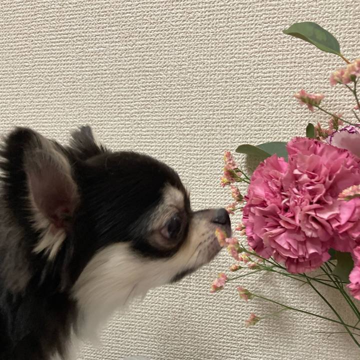 46eeb0e9 29b8 4bf9 b75d dae685618208 1627146133724