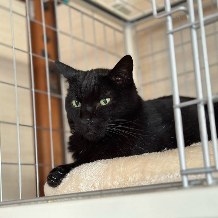 46eec2c2 b040 4661 98e1 a5f133778d98 1676509947789