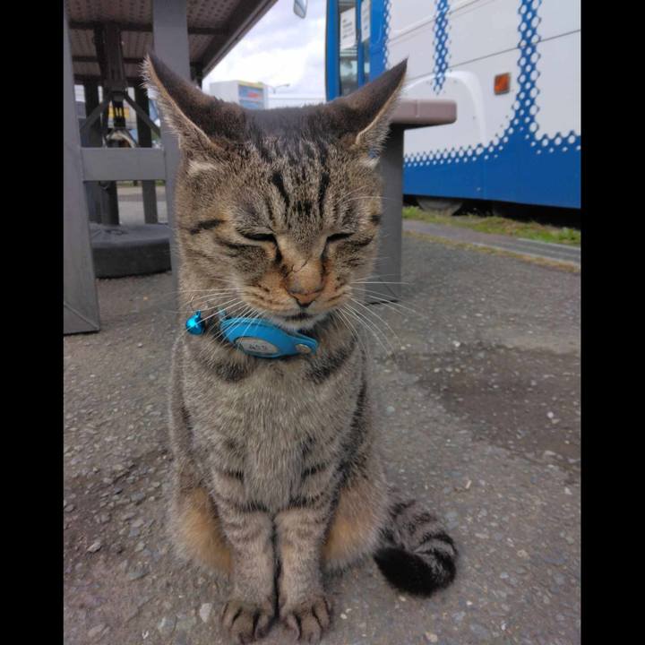 46eed334 a319 43f5 8ea5 4dcb7457cc9c 1700020897834