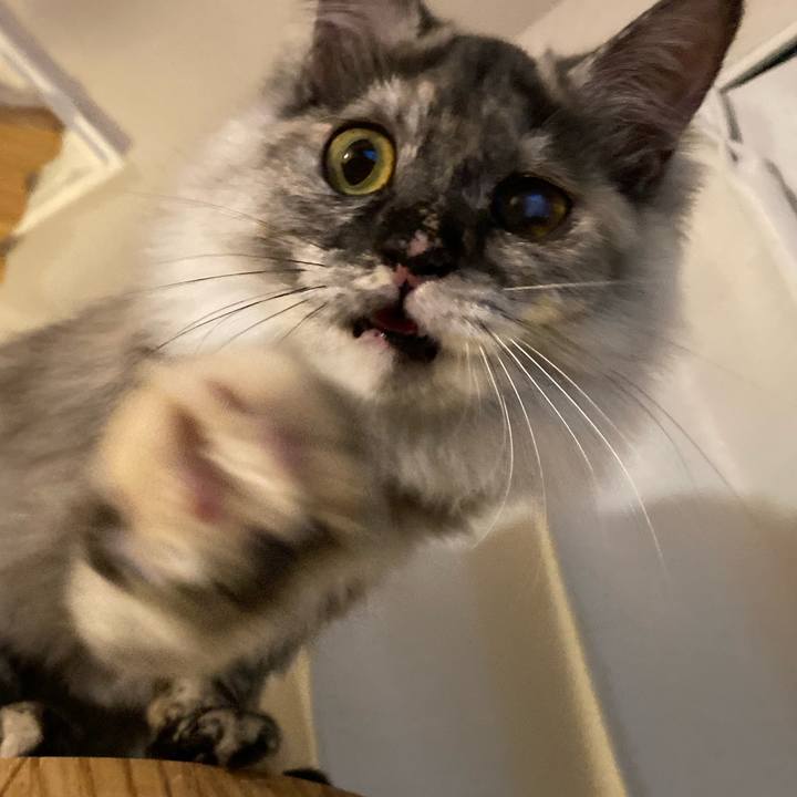 46eef492 0522 4c17 adea 0cbd65c1f9fd 1704798886827