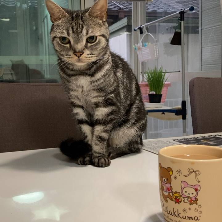 46ef0b69 f675 4a78 bc21 7449acec9706 1664337726802