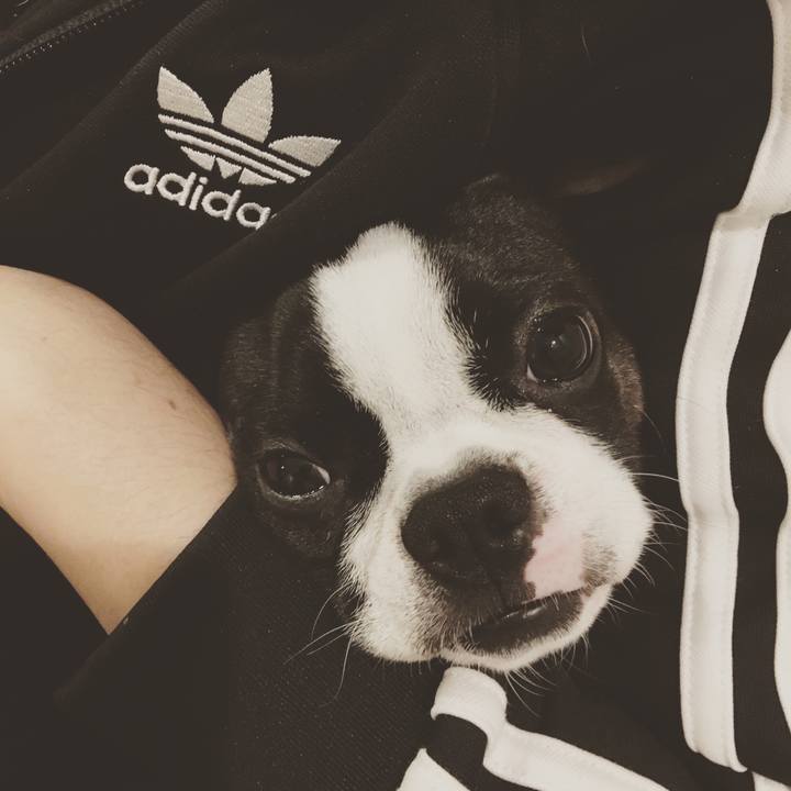 46ef181a 959c 488c abe2 174ff77590b2 1518081952703