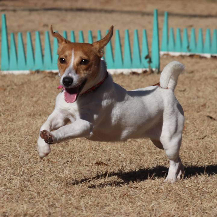 46ef20a3 bae2 4737 b132 e4fcbfccbbcf 1513495919339