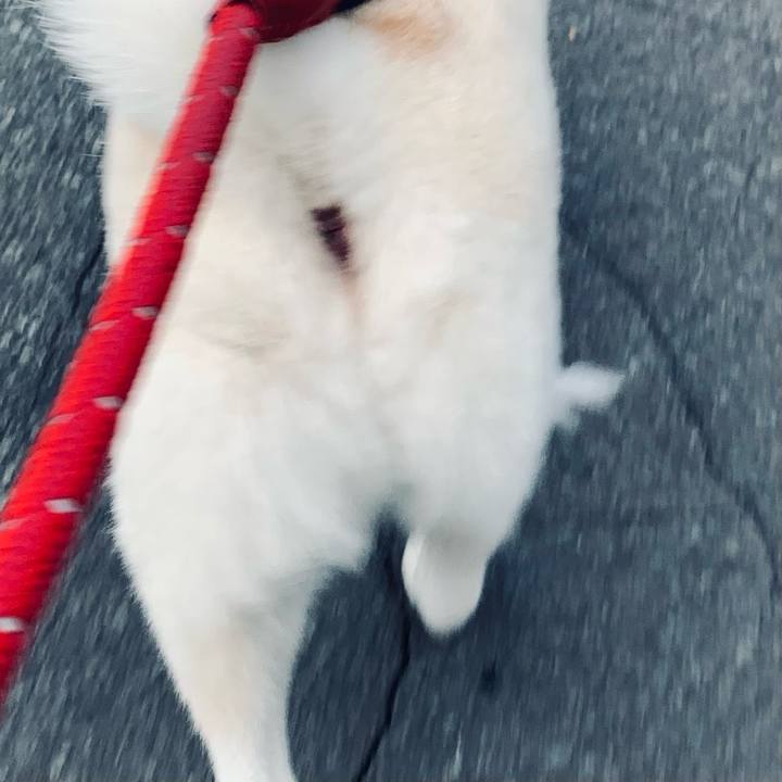 46ef36b3 5831 4e78 8cfc 336f17884bad 1664313619420