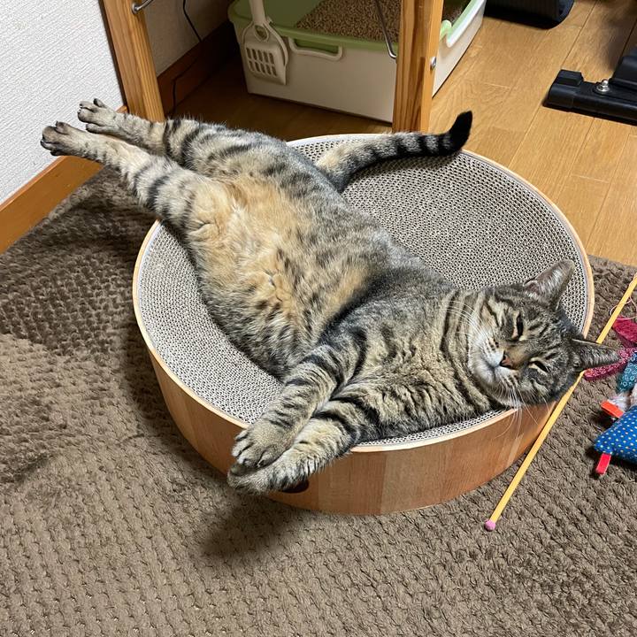 46ef4444 8143 4bae 822d 6241a3d48a58 1638610301496