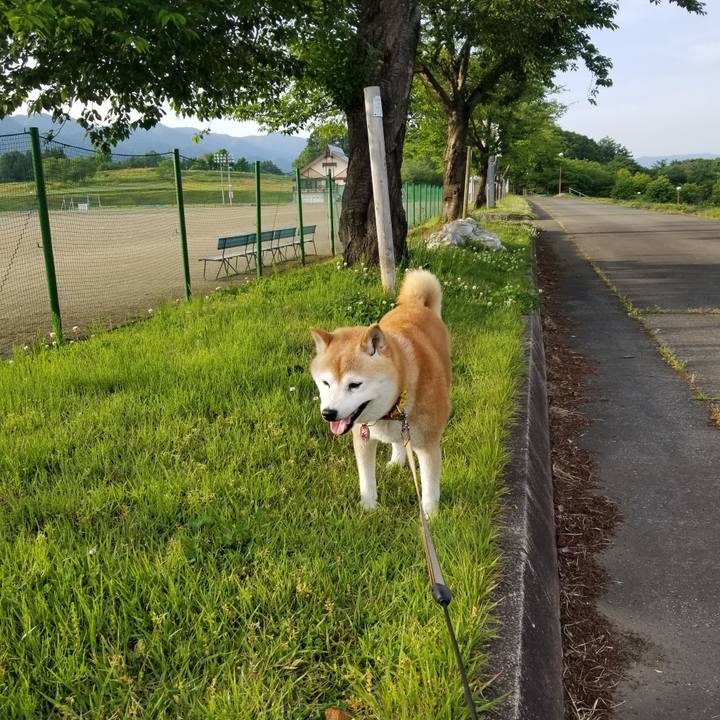 46ef849a 9405 4ad5 b16d e45a291fb51d 1685176069751