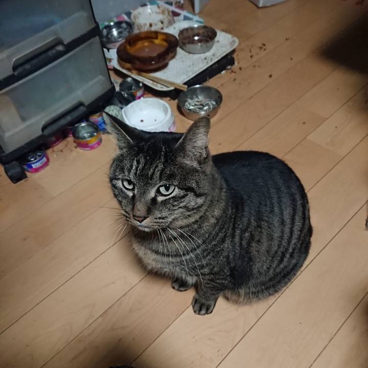 46efa096 5a2e 439e a2f1 b5d88675a1e5 1643489063900