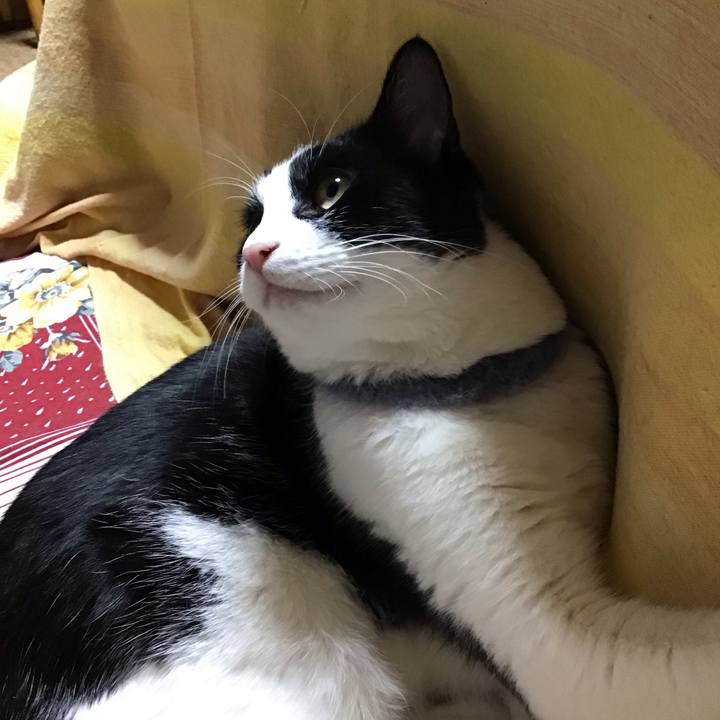 46efa6b0 d489 4719 90c4 04a350115812 1671800309525