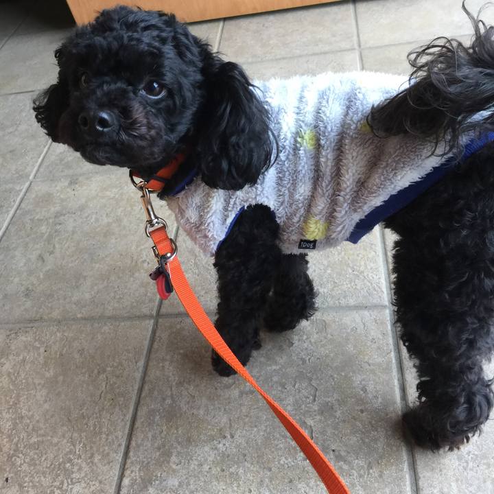 46efac89 e7db 47de 8fd5 0fc4ac18386c 1521607965887