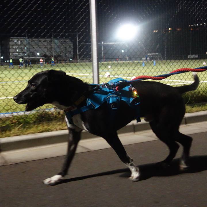 46efc461 69ba 42a9 a14f fe5331120c16 1606387452643